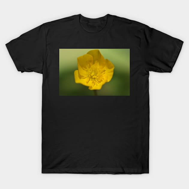 Buttercup 02 T-Shirt by ToniaDelozier